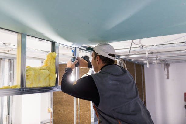 Best Blown-in Insulation in Apalachicola, FL